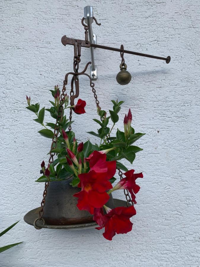 ファルカーデCasa Soiaアパートメント エクステリア 写真